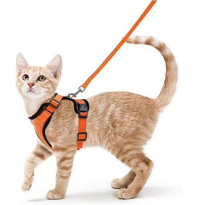 Orange cat running to the left with the orange PurrFlex Reflective Leash