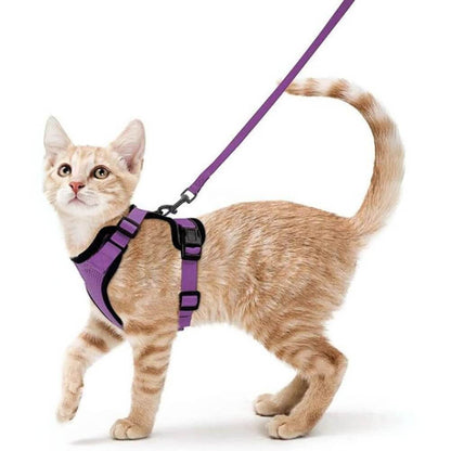 Orange cat running to the left with the purple PurrFlex Reflective Leash