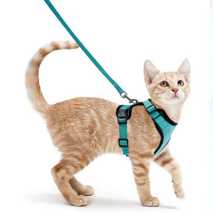 Orange cat running to the right with the sky blue PurrFlex Reflective Leash