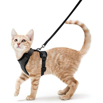 Orange cat running to the left with the black PurrFlex Reflective Leash