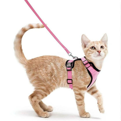 Orange cat running to the right with the pink PurrFlex Reflective Leash