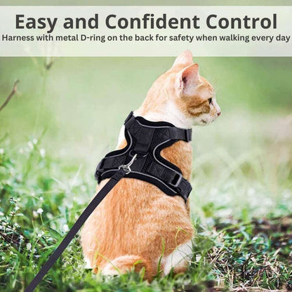 Orange cat sitting on a meadow with the black PurrFlex reflective leash. Text: Easy and Confident Control - Harness with metal D-ring on the back for safety when walking every day.