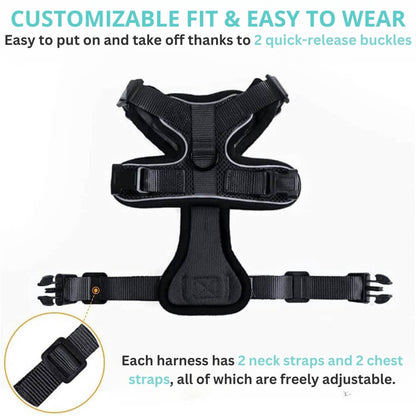 Black PurrFlex Reflective Leash - Title: Customizable Fit & Easy To Wear