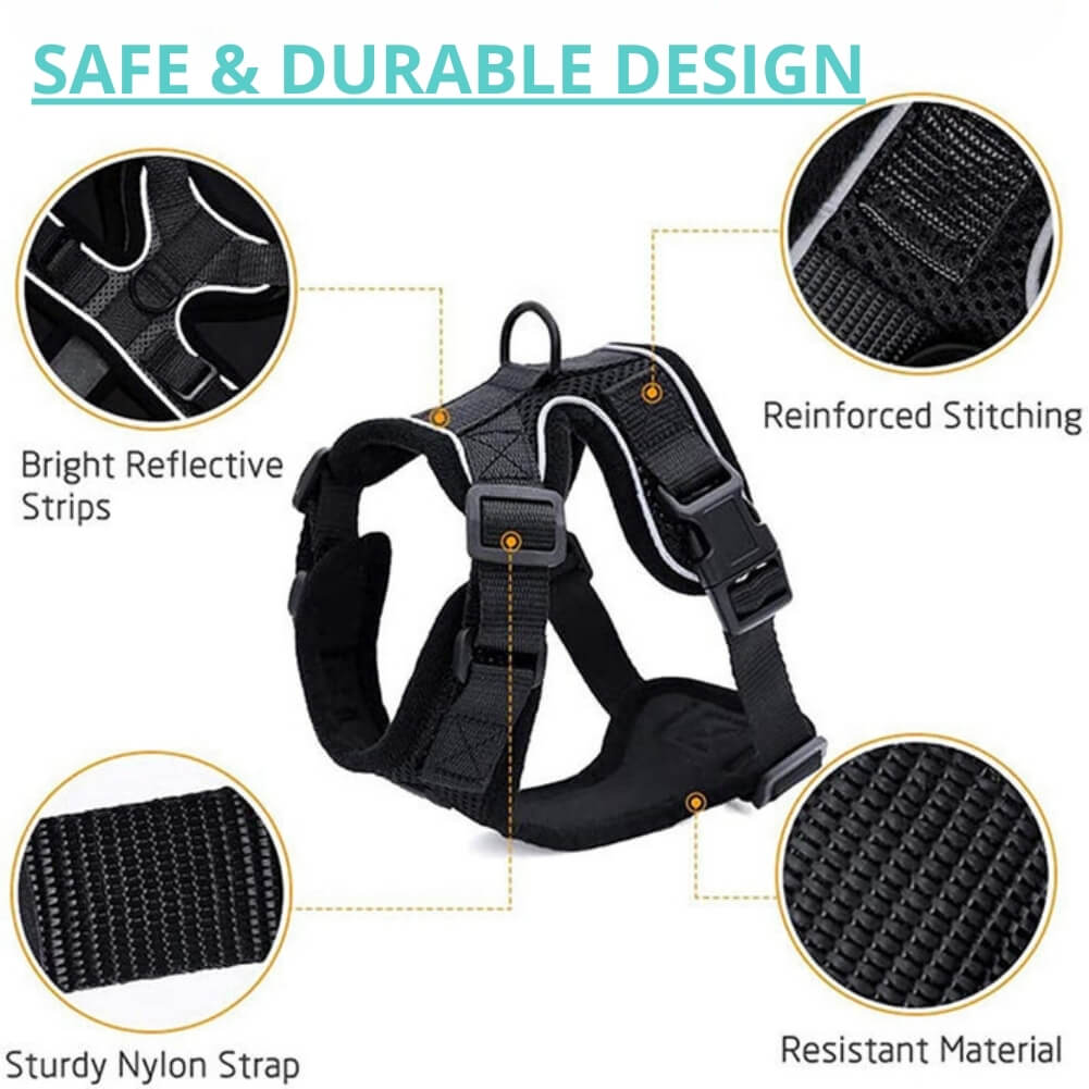 Black PurrFlex reflective leash - Title: SAFE & DURABLE DESIGN
