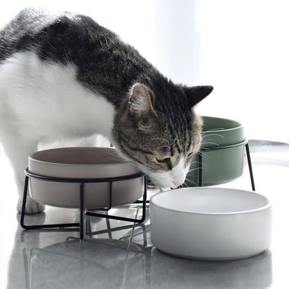 Gray white cat drinking from CeraFrame bowl sitting in front of 3 CeraFrame bowls