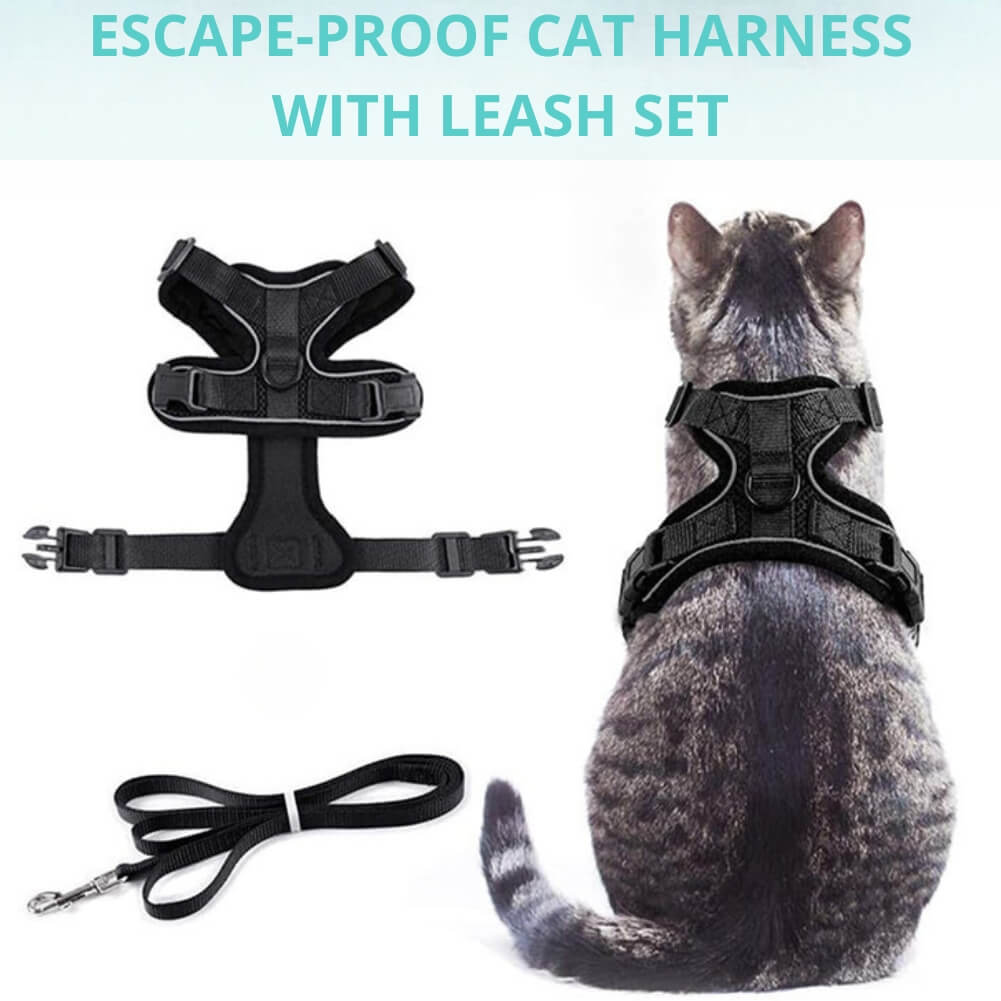 Picture of a cat wearing the PurrFlex set with the text "Escape Proof Cat Hanress with leash set"